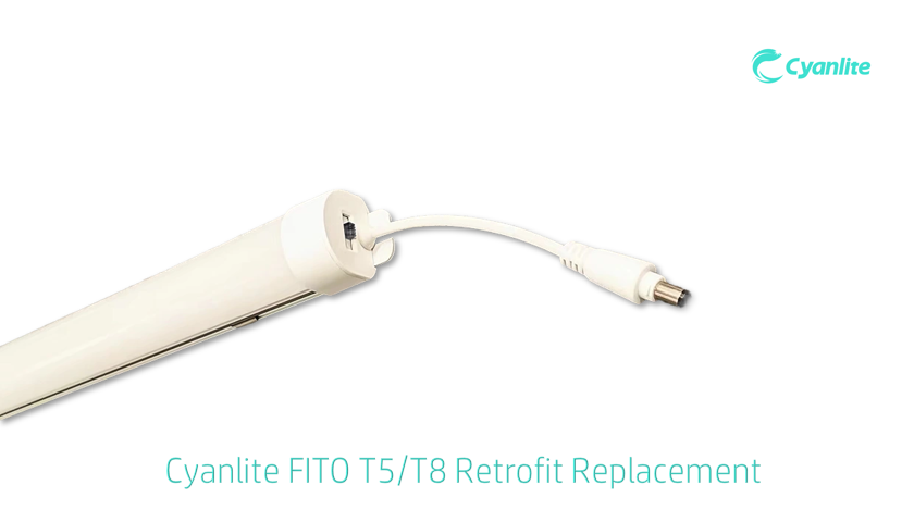 Cyanlite T5 T8 Fluorescent tube retrofit replacement